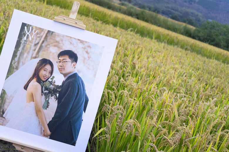 割麥穗簽到、自制標(biāo)本...這場稻田婚禮，浪漫又接地氣！