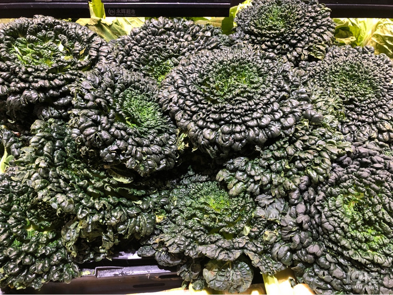不是所有的綠葉菜都叫青菜啊，到今天才知道還有這么多品種！