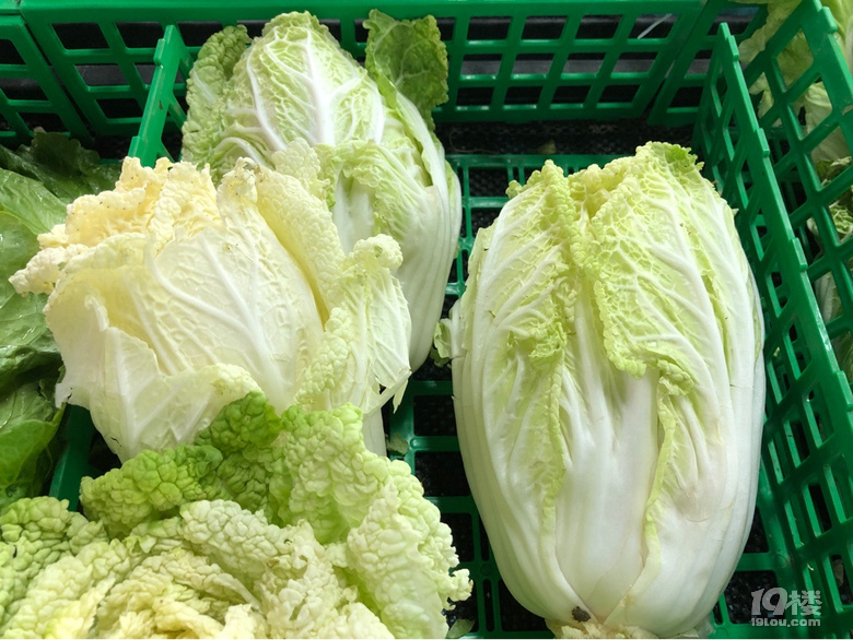 不是所有的綠葉菜都叫青菜啊，到今天才知道還有這么多品種！