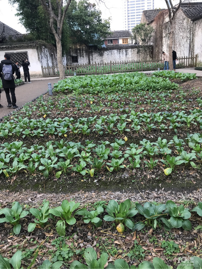 魯迅故居和沈園