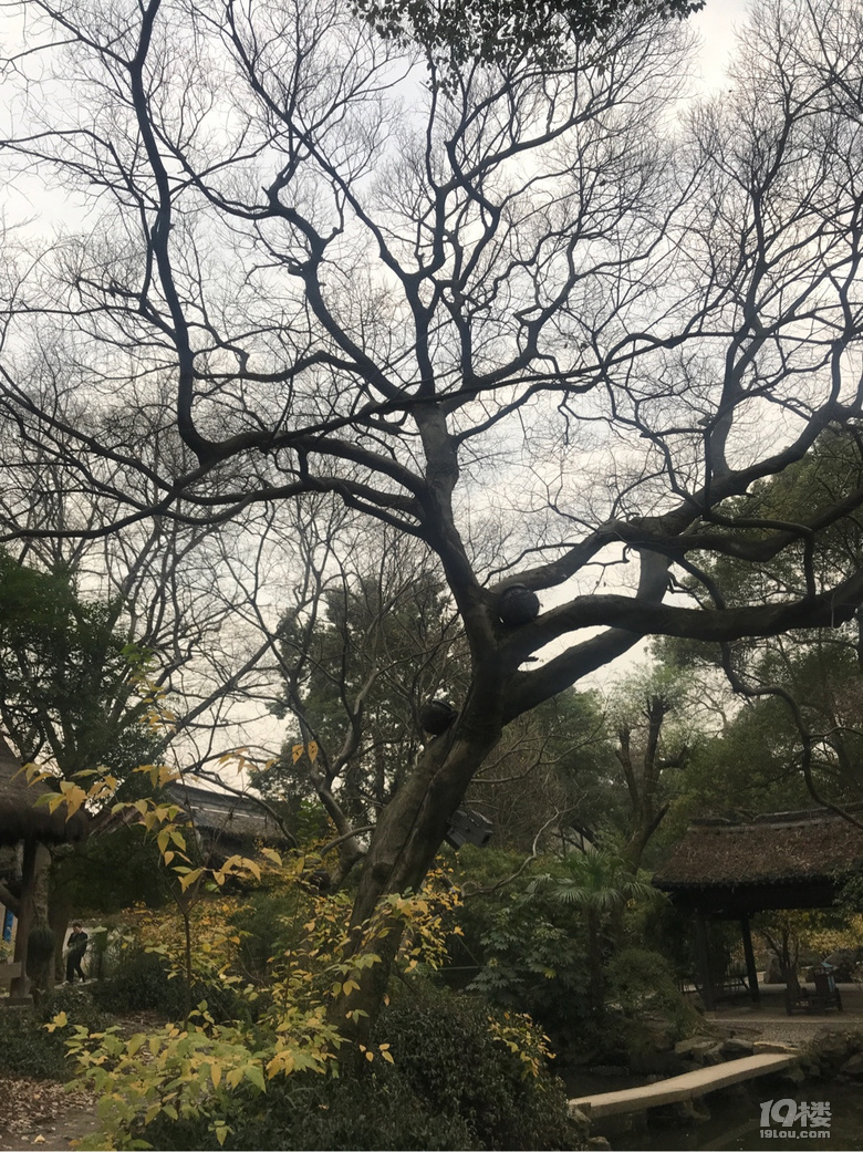 魯迅故居和沈園