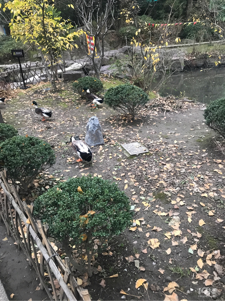 魯迅故居和沈園