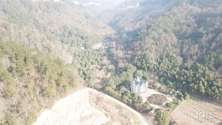 今天休息  去巡山