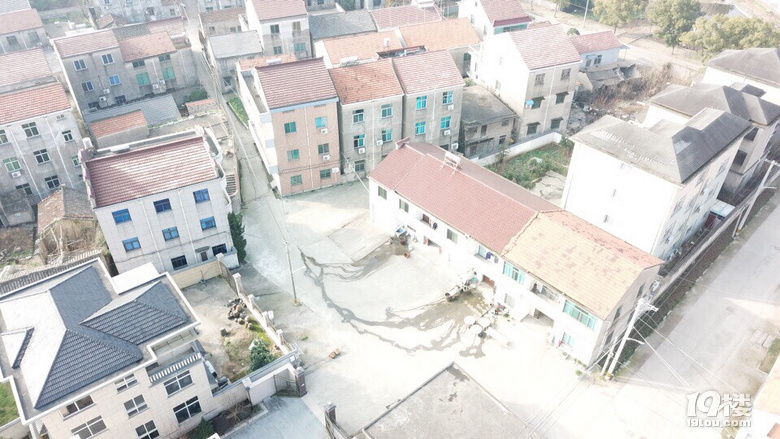 今天休息  去巡山