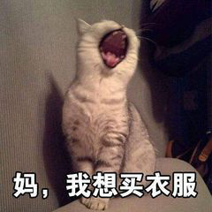 2020ҲҪԪ?d)MMҴcСͬ˾