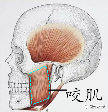 Ȱl(f)Ǟμwl(f)СĘ׃ĘҲŶ