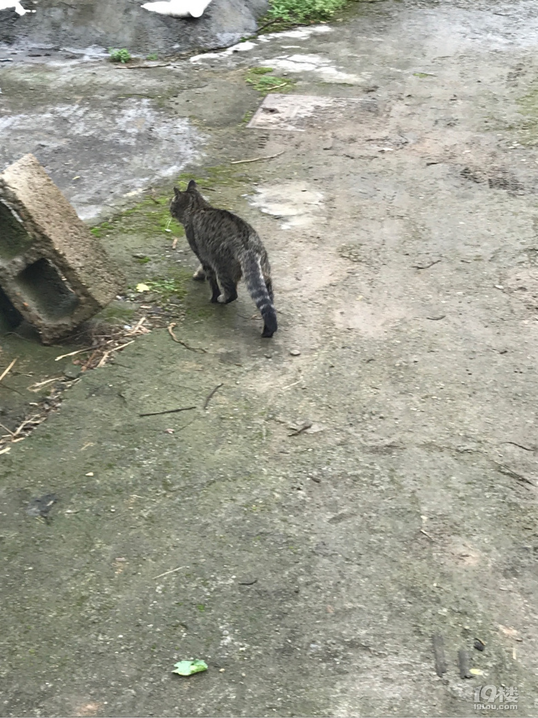 一天工作