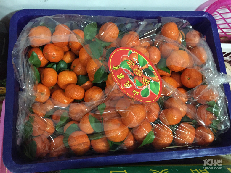 ޻ؼҡ+ ѐێؼ
