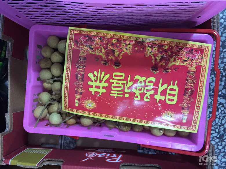 ޻ؼҡ+ ѐێؼ
