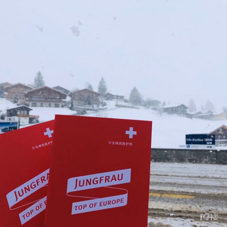 2020ÄêµÄ´º½Ú£¬Óö¼ûµÂÈð°Â
