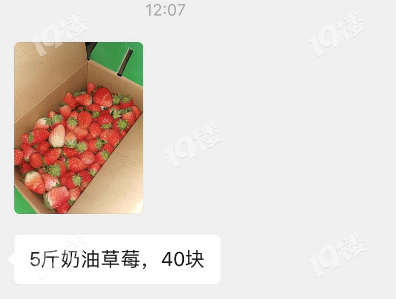 ÔÀ´²ÝÝ®40Ò»½ï£¬ÏÖÔÚ40Ò»Ï䣡ÎÒÖÕÓÚʵÏÖÁËË®¹û×ÔÓÉ