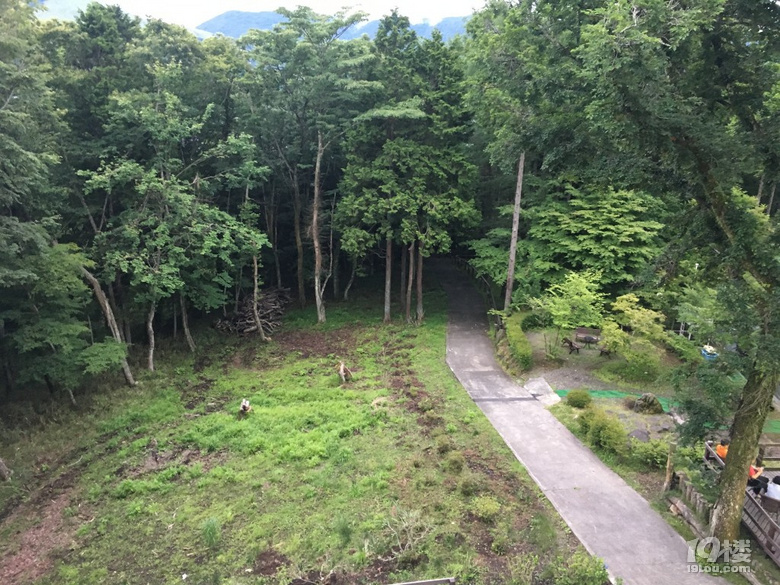 日本母子暑期行第4部