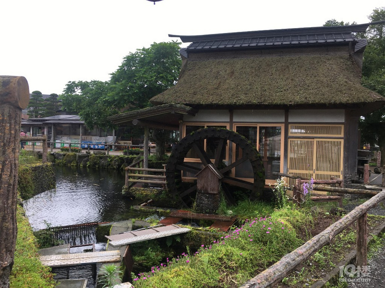 日本母子暑期行第4部
