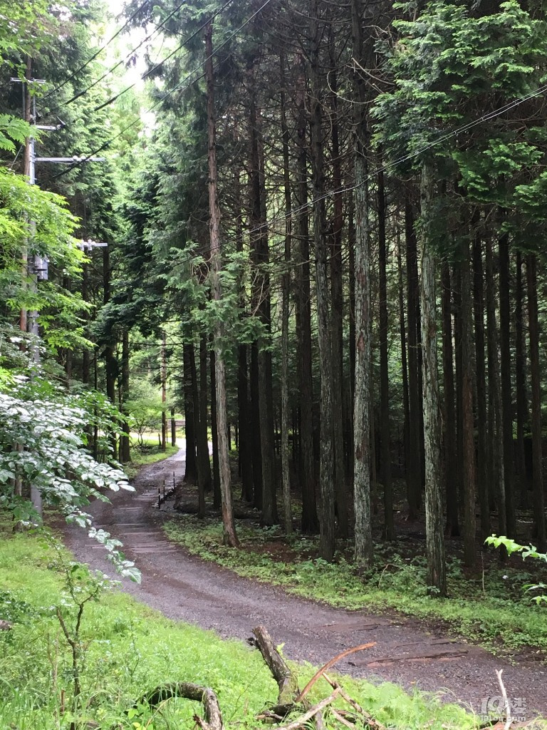 日本母子暑期行第4部