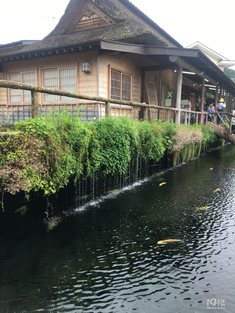 日本母子暑期行第4部