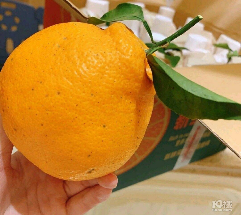 θʲô͵ˮϻ᣿