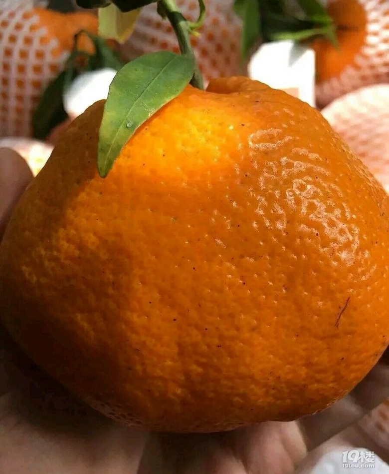 θʲô͵ˮϻ