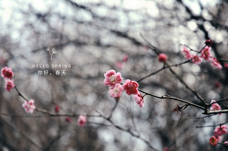 .Spring