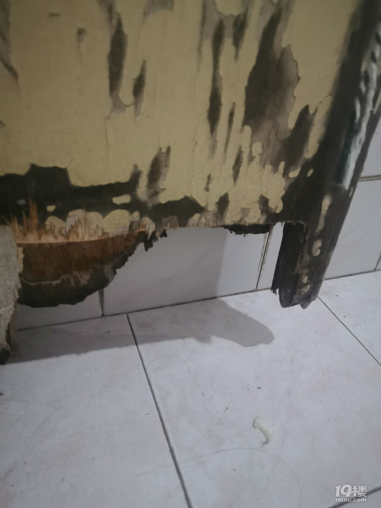 (dng)֮ܺ̎ݲұ̣ɶ