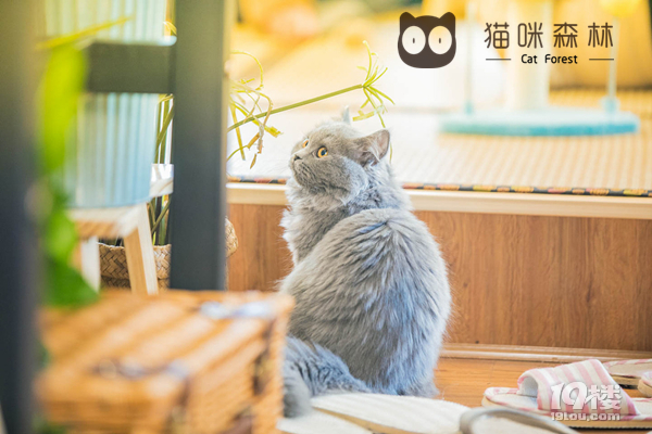 鮔(dng)؈ɭ֪ȿڸкͰȫҪ