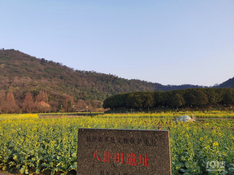 春到八卦田