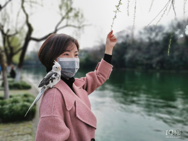 五花肉写真_图1