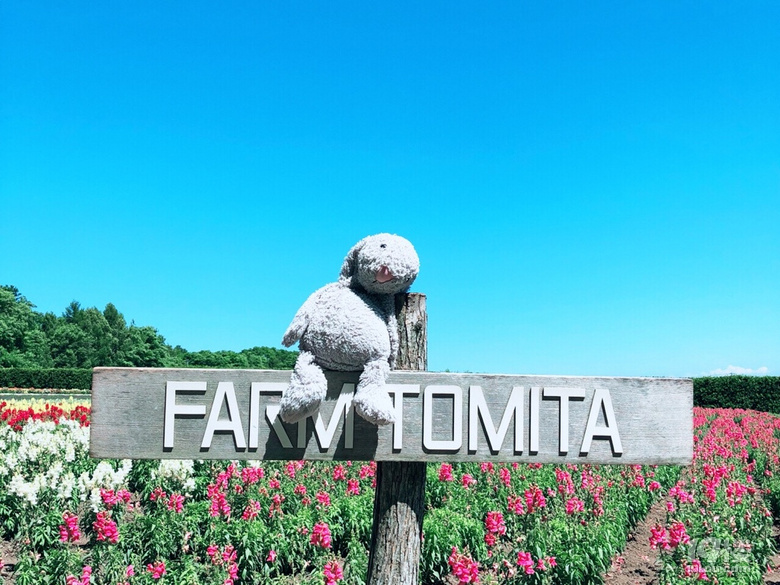 ӑՓű޶61qˣ߀ӛͯrż