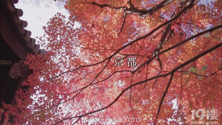 跟著紀(jì)錄片旅行 《京都人秘密的歡愉》 景色很美、色調(diào)很舒緩