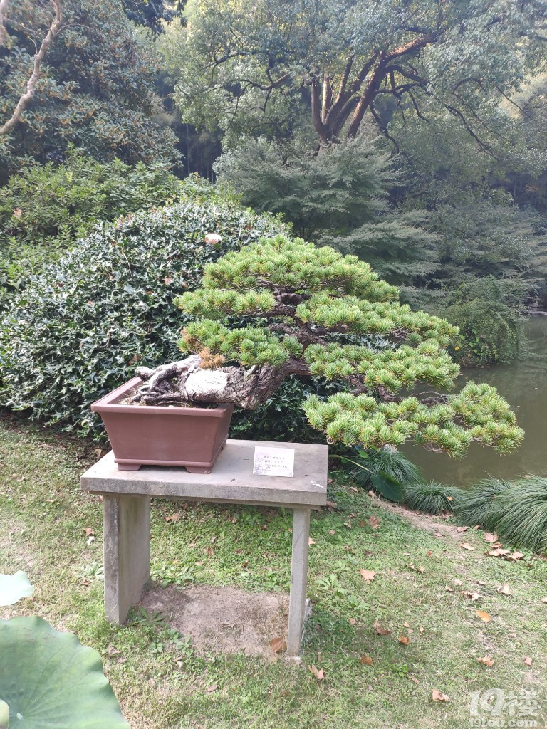 植物園