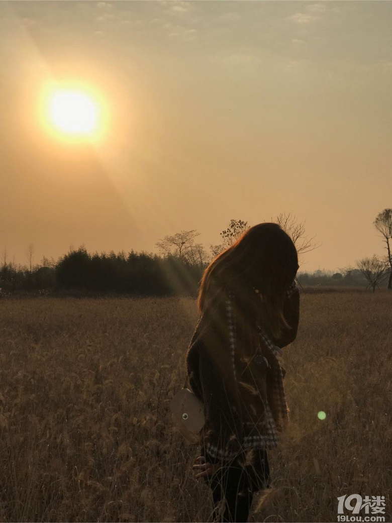 夕陽無限好
