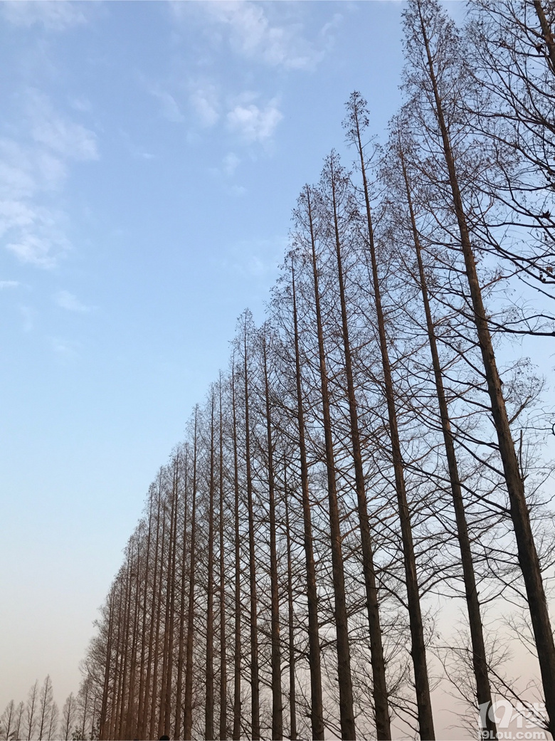 夕陽無限好