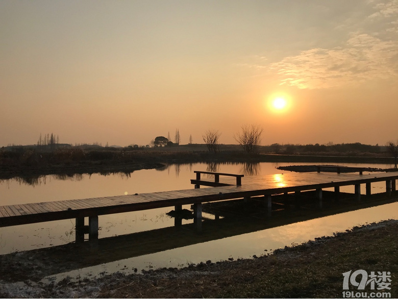 夕陽無限好