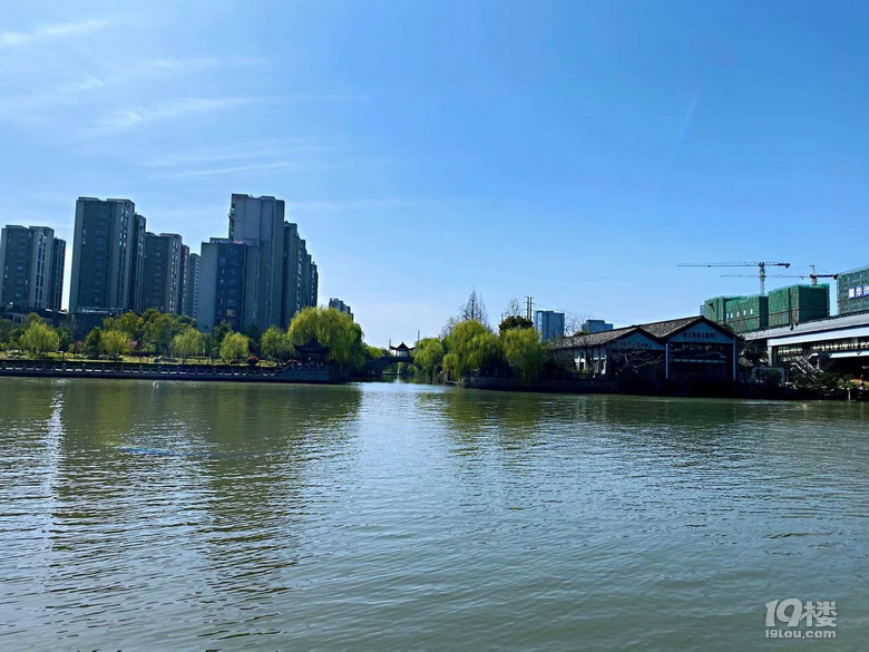 北星公園