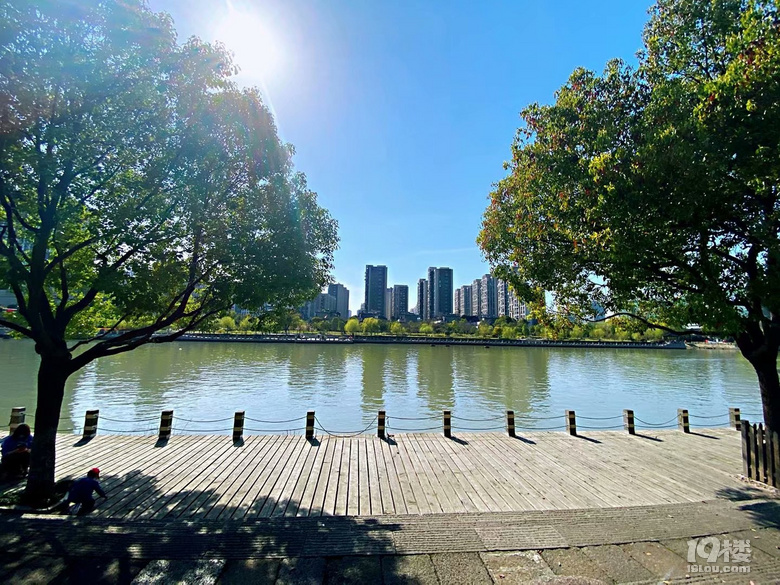 北星公園