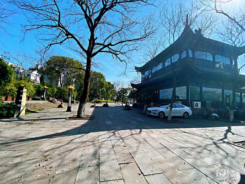 北星公園