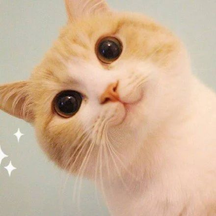 ̹װڴ_(ki)W(xu)ԭ򵽵ʲôԸСƿӁ(li)ˣM