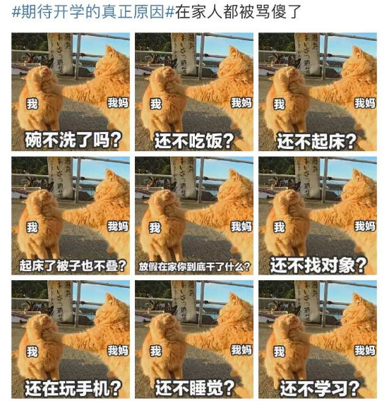 ̹װڴ_(ki)W(xu)ԭ򵽵ʲôԸСƿӁ(li)M