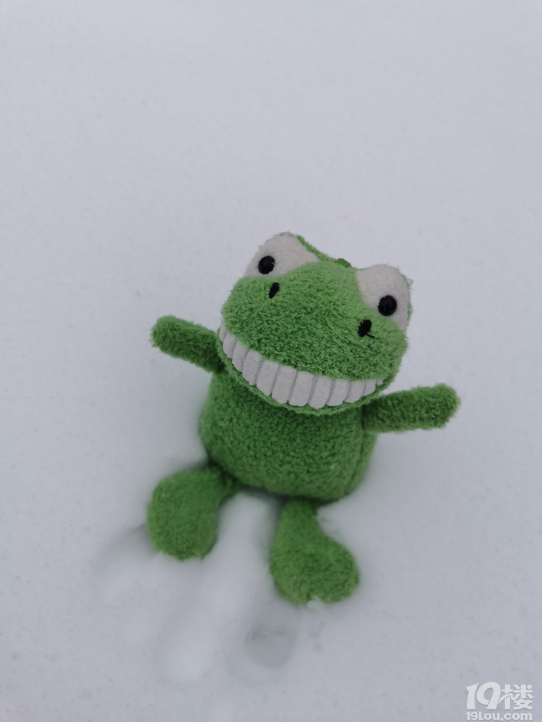 今天臨安下雪啦�。。『么蟮难�！沒想到在這三月底還能看到雪，還