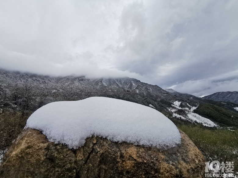 今天臨安下雪啦�。�！好大的雪！沒想到在這三月底還能看到雪，還