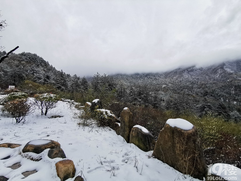 今天臨安下雪啦�。。『么蟮难�！沒想到在這三月底還能看到雪，還