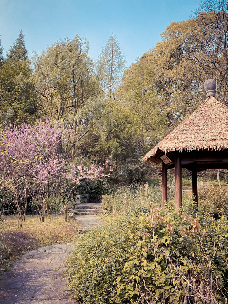 杭州·西湖景区·浴鹄湾修身养性的好地方