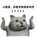 ߀yW(xu)o(h)w(chng)ֻһ(g)