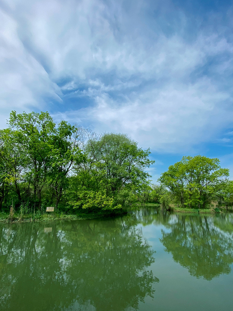 杭州·西溪湿地公园东面外围文三西路至文二西路沿湖景色