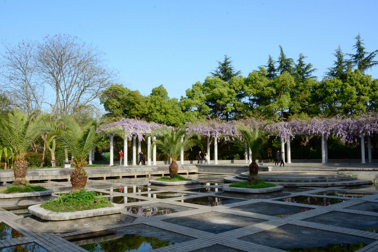 杭州花圃