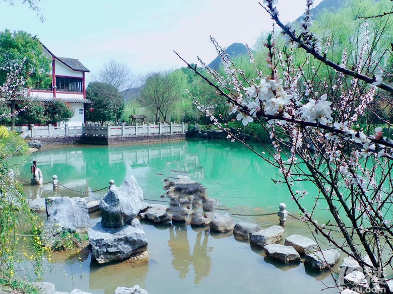 老家的美景，算一下差不多大半年沒回老家了，想念所有……