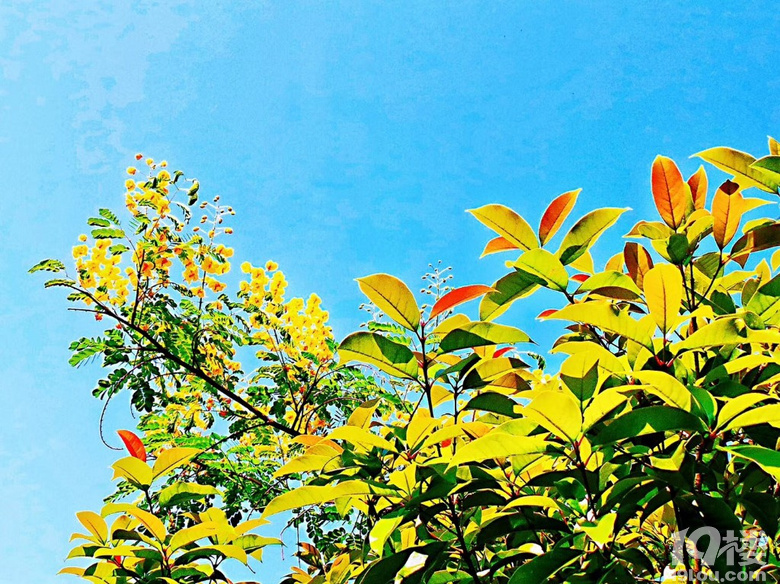 老家的美景，算一下差不多大半年沒回老家了，想念所有……