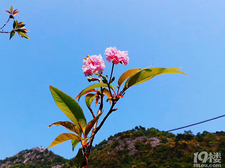 老家的美景，算一下差不多大半年沒回老家了，想念所有……
