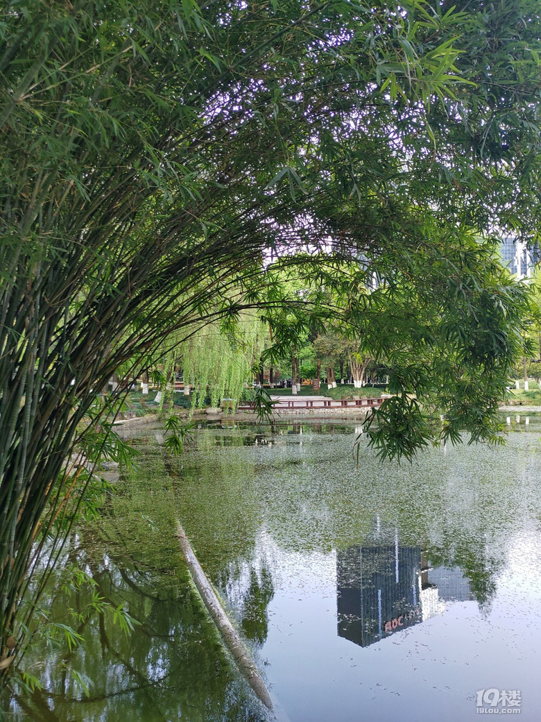 錢江新城世紀花園