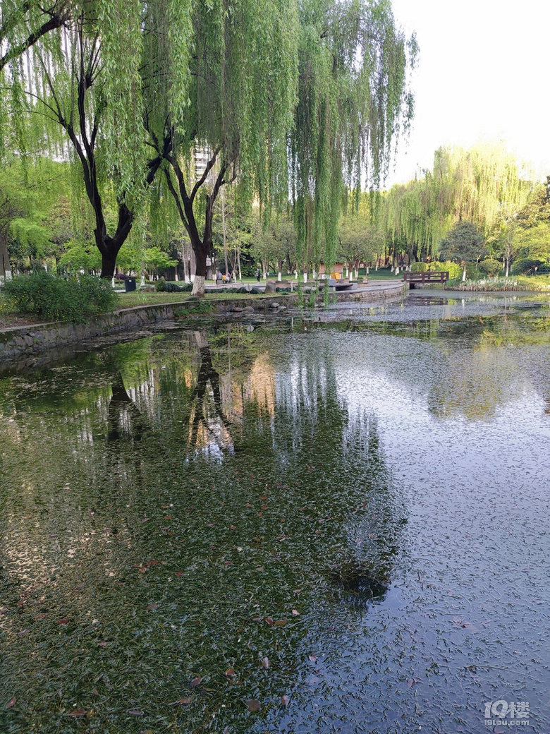 錢江新城世紀花園