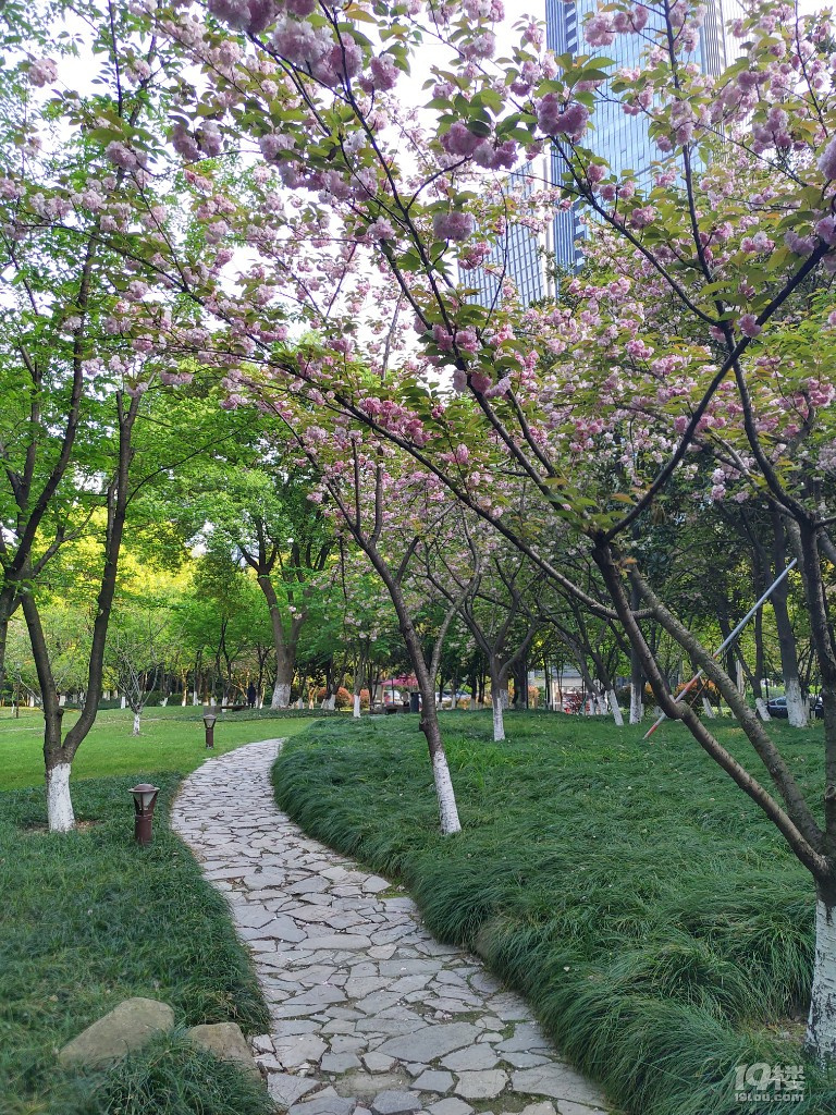錢江新城世紀花園
